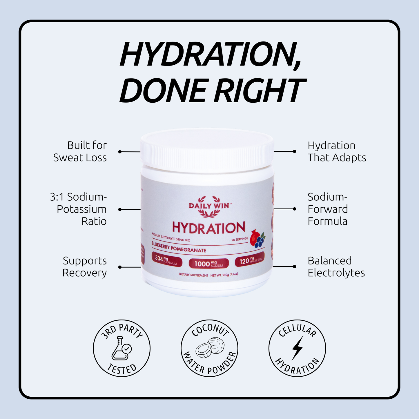 Blueberry Pomegranate Electrolytes